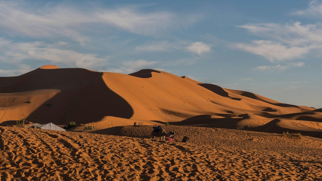 Ce qu'il faut prévoir pour une première nuit en bivouac dans les dunes